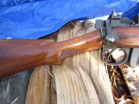 IMG_4587[1].JPG