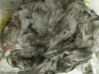 IMG_7405.jpeg