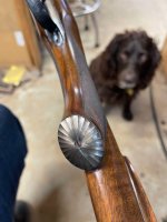 IMG_1509.jpeg