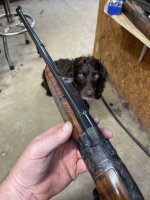 IMG_1506.jpeg