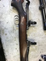 IMG_1606.jpeg