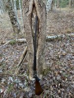 IMG_2178.jpeg