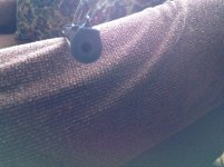 IMG_2179.jpeg