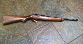 Ruger 1022 122 1024768.jpg