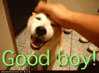 1000021145.gif