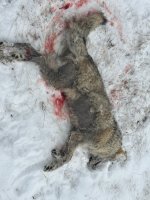 IMG_5005.jpeg