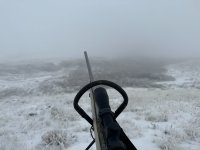 IMG_5007.jpeg