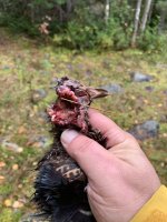 IMG_8004.jpeg