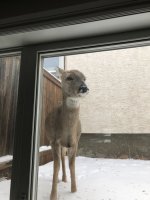 IMG_0865.JPEG