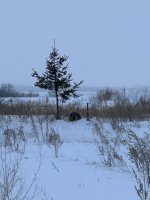 IMG_2177.jpg IMG_2177.jpg