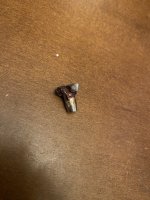 IMG_5664.jpeg