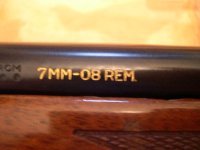 Rem700Mtn708c.jpg