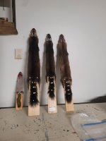 Marten 24.jpg
