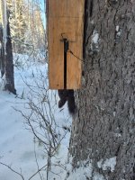 Marten 3,24.jpg