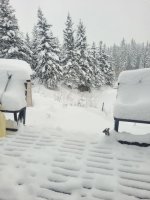 Cabin 24.jpg