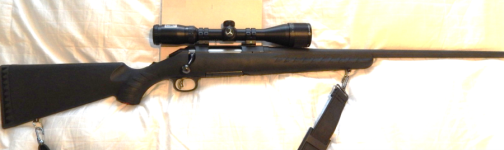 Ruger American 223.png