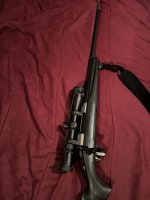 IMG_5239.jpeg