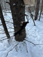 IMG_2144.jpeg