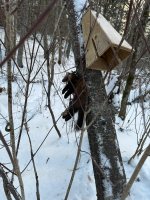 IMG_2150.jpeg