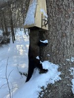 IMG_2142.jpeg