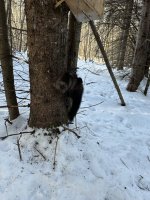 IMG_2151.jpeg