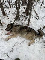 IMG_2180.jpeg