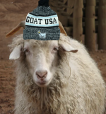 Goat..PNG