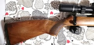 CZ-455 Scope Filed Edge & Lux Stock.jpg