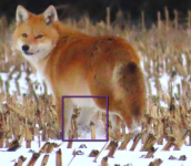 1736876932575.png