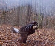 IMG_4697.jpeg