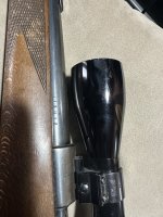 IMG_4995.jpeg