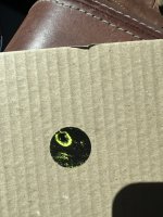 IMG_5372.jpeg