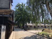 IMG_0778.JPG