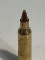 IMG_1854.jpeg