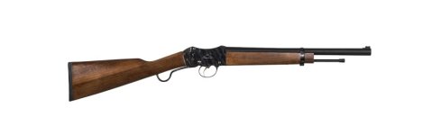 pasa arms martini henry.jpg