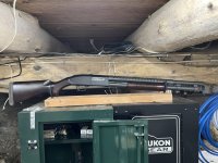 IMG_2604.jpeg