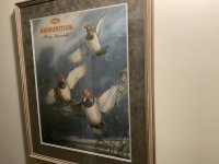 IMG_1443.jpeg