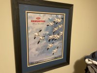 IMG_1445.jpeg
