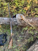 IMG_0404.jpeg