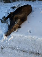 IMG_1544.jpeg