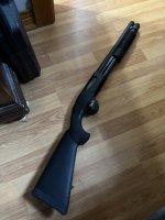 IMG_1750.jpeg
