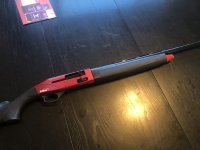 IMG_2438.jpeg