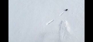 IMG_3977.jpeg