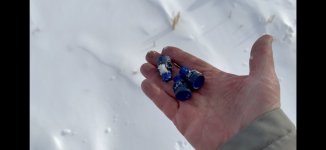 IMG_3979.jpeg