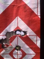 IMG_1405.jpeg