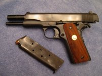 thumbnail_Colt9.jpg
