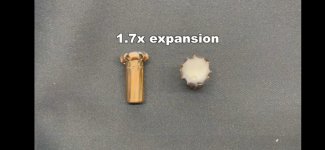1000060530.jpg