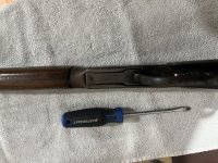 IMG_1440.jpeg