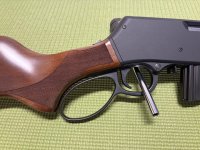 IMG_2238.jpg