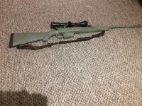 IMG_2044.jpeg